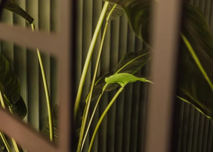 Getaway 3* Λιέγη